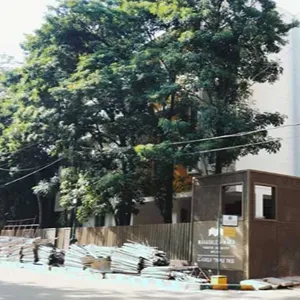 Classique Temple Tree